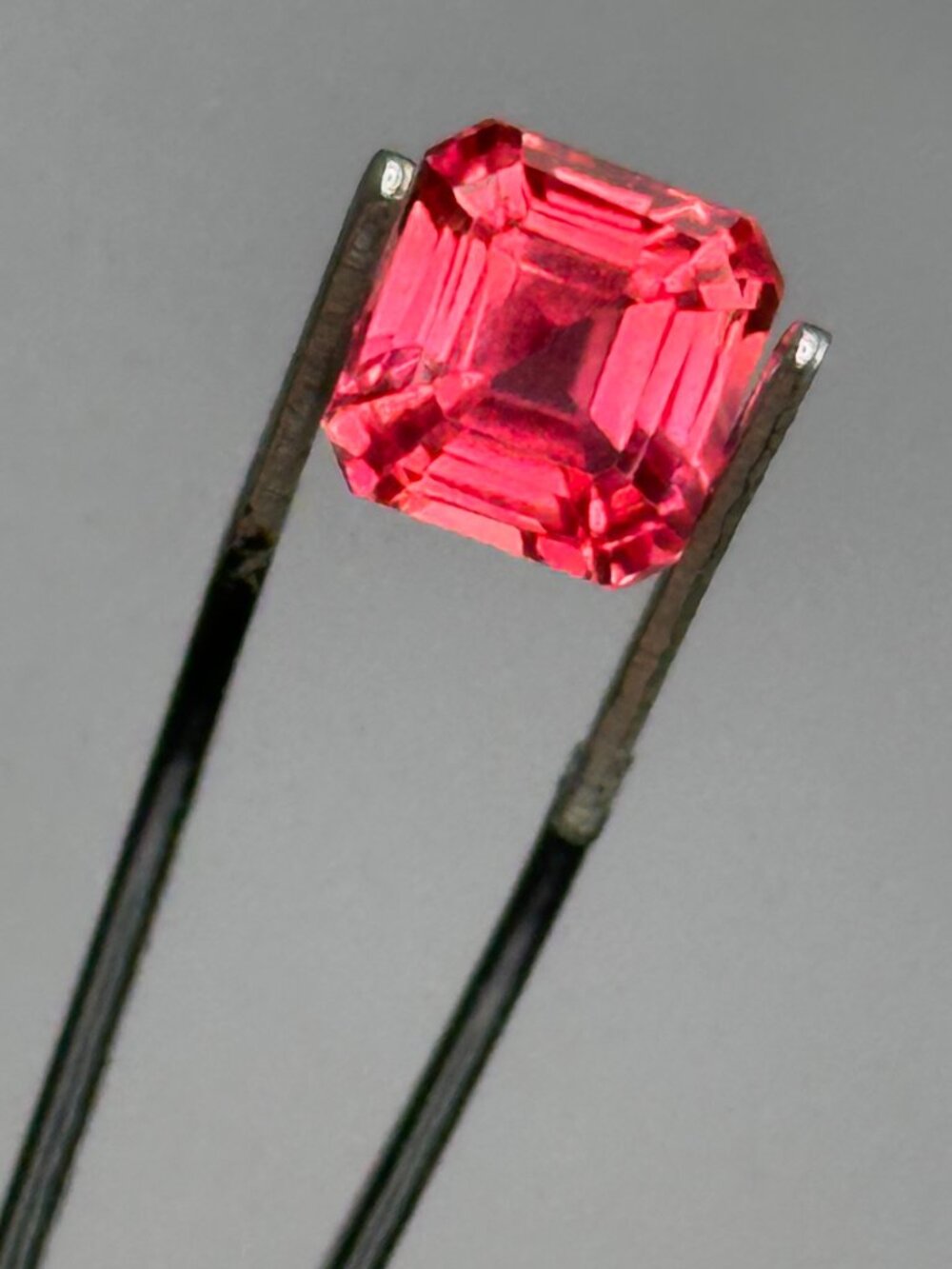 STUNNING Watermelon Sapphire with Certificate